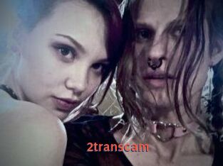 2_trans_cam
