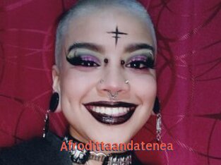 Afrodittaandatenea