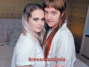 Breeandantonia