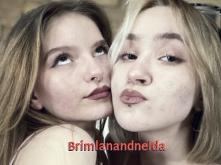 Brimlanandnelda