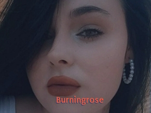 Burningrose