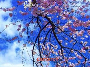 Cameron