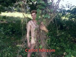 Carlot_hdozom