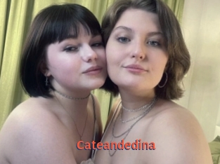 Cateandedina