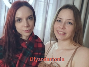 Elfyandantonia