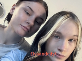 Elvaandedyt