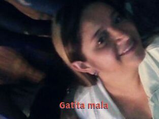Gatita_mala