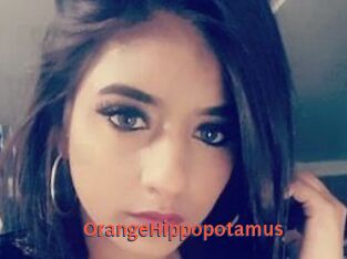 OrangeHippopotamus