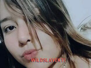WILDSLAVEKTI